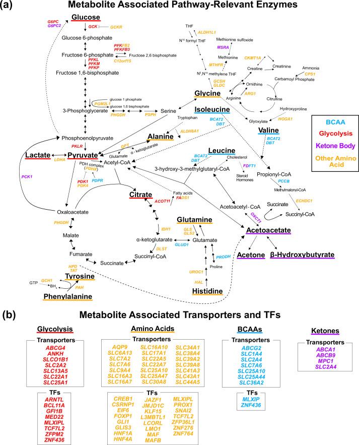 https://cdn.ncbi.nlm.nih.gov/pmc/blobs/46c9/9536840/35ab64aa126d/elife-79348-fig3.jpg