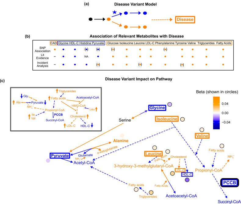 https://cdn.ncbi.nlm.nih.gov/pmc/blobs/46c9/9536840/70e8c29bc2cb/elife-79348-fig7.jpg