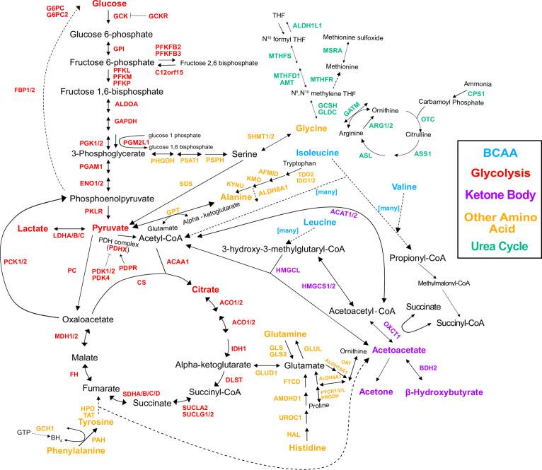https://cdn.ncbi.nlm.nih.gov/pmc/blobs/46c9/9536840/ef7562fa1f38/elife-79348-fig3-figsupp1.jpg