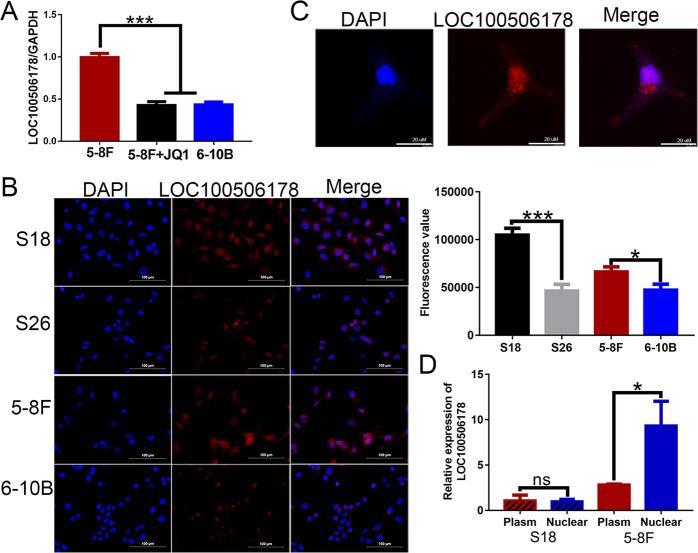 https://cdn.ncbi.nlm.nih.gov/pmc/blobs/46ca/9035166/bd8bcca9573f/41419_2022_4846_Fig3_HTML.jpg