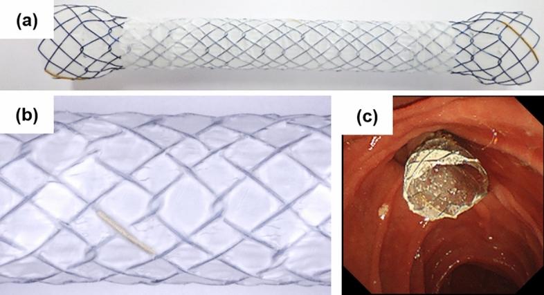 https://cdn.ncbi.nlm.nih.gov/pmc/blobs/46ca/9727129/7c309cdd3ce3/41598_2022_25186_Fig1_HTML.jpg
