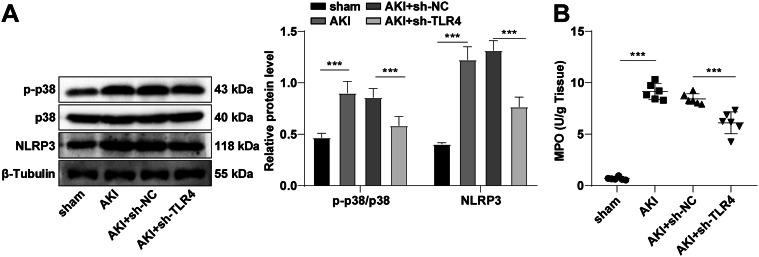 https://cdn.ncbi.nlm.nih.gov/pmc/blobs/46cb/10556113/d013b6925d0a/10863_2023_9972_Fig6_HTML.jpg