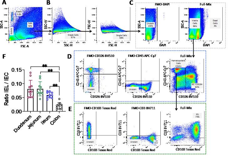 https://cdn.ncbi.nlm.nih.gov/pmc/blobs/46d1/12089825/8d9619622c28/BioProtoc-15-9-5307-g002.jpg