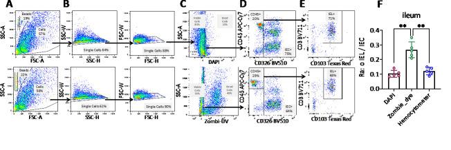 https://cdn.ncbi.nlm.nih.gov/pmc/blobs/46d1/12089825/a8652aa23d53/BioProtoc-15-9-5307-g003.jpg