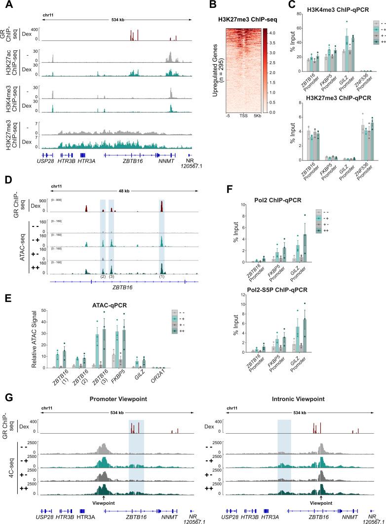 https://cdn.ncbi.nlm.nih.gov/pmc/blobs/46d1/8403771/06bc9866aa80/LSA-2021-01080_Fig5.jpg