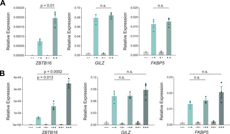 https://cdn.ncbi.nlm.nih.gov/pmc/blobs/46d1/8403771/48e59141f478/LSA-2021-01080_Fig4.jpg