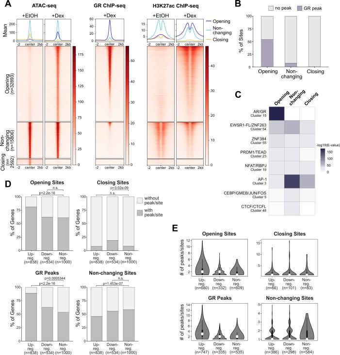 https://cdn.ncbi.nlm.nih.gov/pmc/blobs/46d1/8403771/84d8b52ff224/LSA-2021-01080_FigS2.jpg