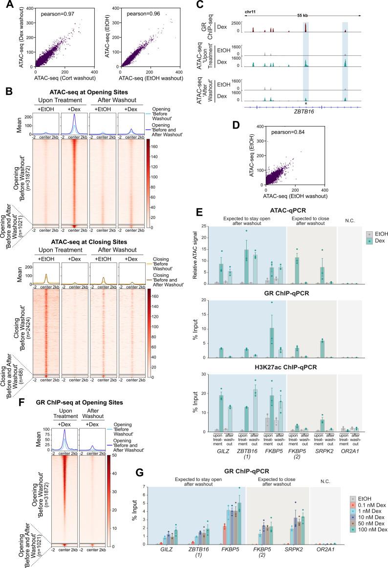 https://cdn.ncbi.nlm.nih.gov/pmc/blobs/46d1/8403771/bebddd038e7f/LSA-2021-01080_FigS3.jpg