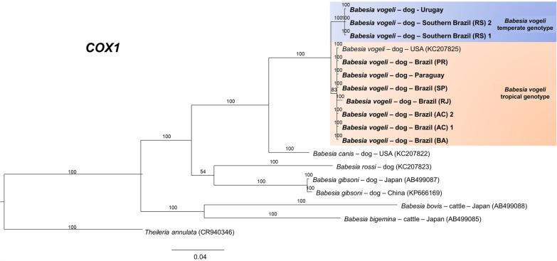https://cdn.ncbi.nlm.nih.gov/pmc/blobs/46d4/12257672/4023ac1e1b1e/13071_2025_6923_Fig3_HTML.jpg