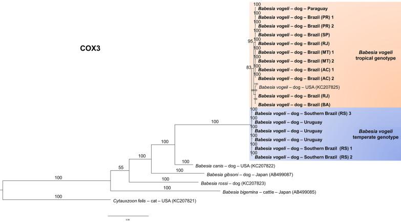 https://cdn.ncbi.nlm.nih.gov/pmc/blobs/46d4/12257672/95c257efc3b7/13071_2025_6923_Fig4_HTML.jpg