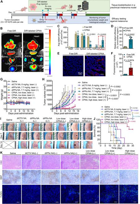 https://cdn.ncbi.nlm.nih.gov/pmc/blobs/46d6/11529783/365db434d8d7/bmr.0101.fig.008.jpg