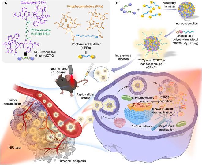 https://cdn.ncbi.nlm.nih.gov/pmc/blobs/46d6/11529783/410c445ca5cb/bmr.0101.fig.001.jpg