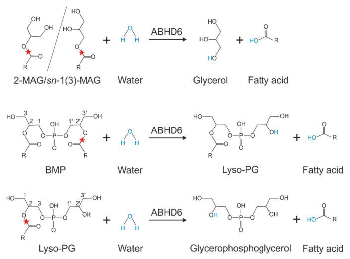 https://cdn.ncbi.nlm.nih.gov/pmc/blobs/46d6/9412472/0a01d0f5ffd0/metabolites-12-00761-g004.jpg