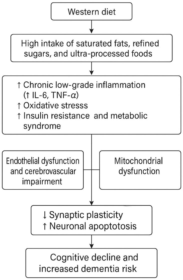 https://cdn.ncbi.nlm.nih.gov/pmc/blobs/46d8/12348539/c6296752e0f4/nutrients-17-02446-g001.jpg