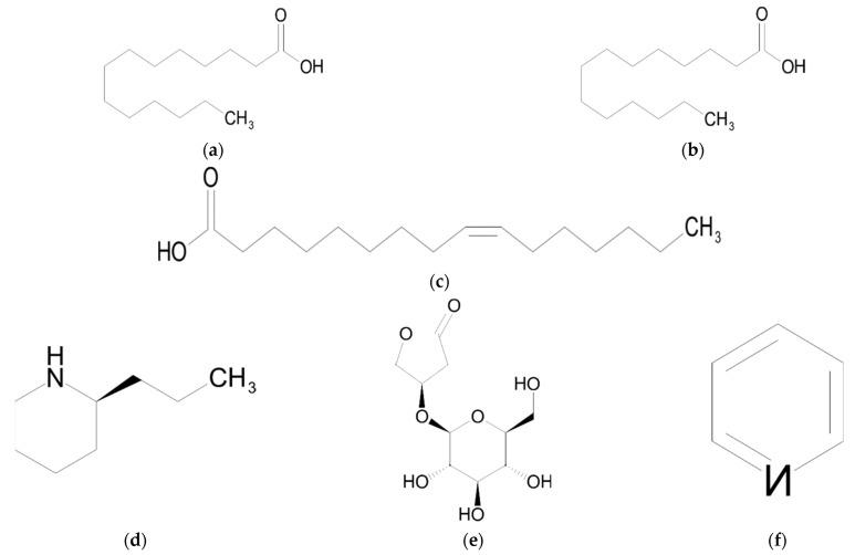 https://cdn.ncbi.nlm.nih.gov/pmc/blobs/46d8/9456395/49f5c58eb000/ijms-23-09877-g005.jpg