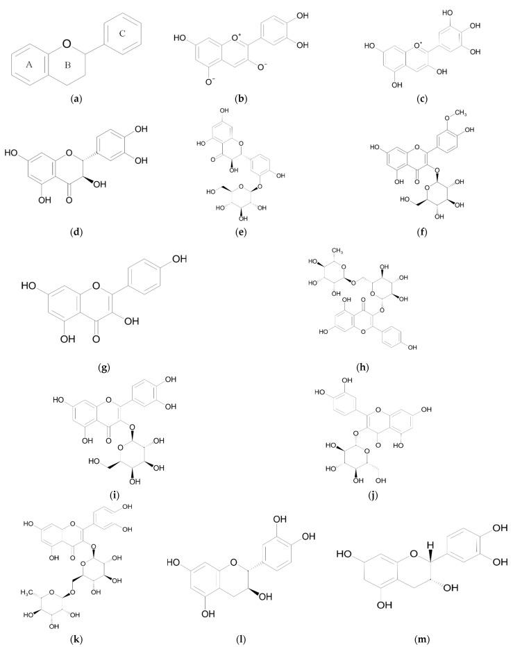 https://cdn.ncbi.nlm.nih.gov/pmc/blobs/46d8/9456395/a48a43b671a9/ijms-23-09877-g001.jpg