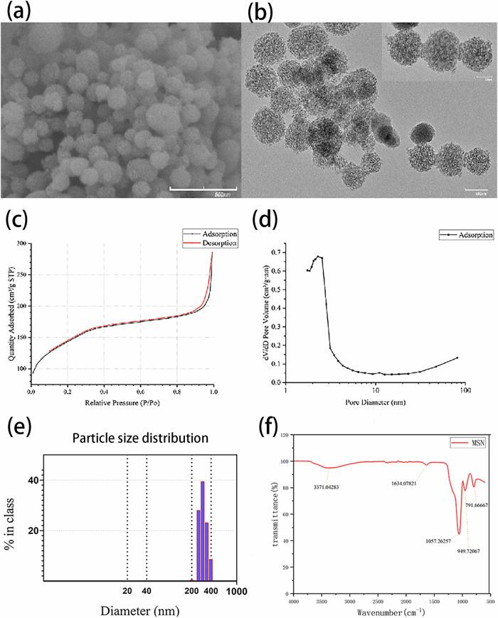 https://cdn.ncbi.nlm.nih.gov/pmc/blobs/46df/11442573/45701fb6d672/10856_2024_6827_Fig1_HTML.jpg