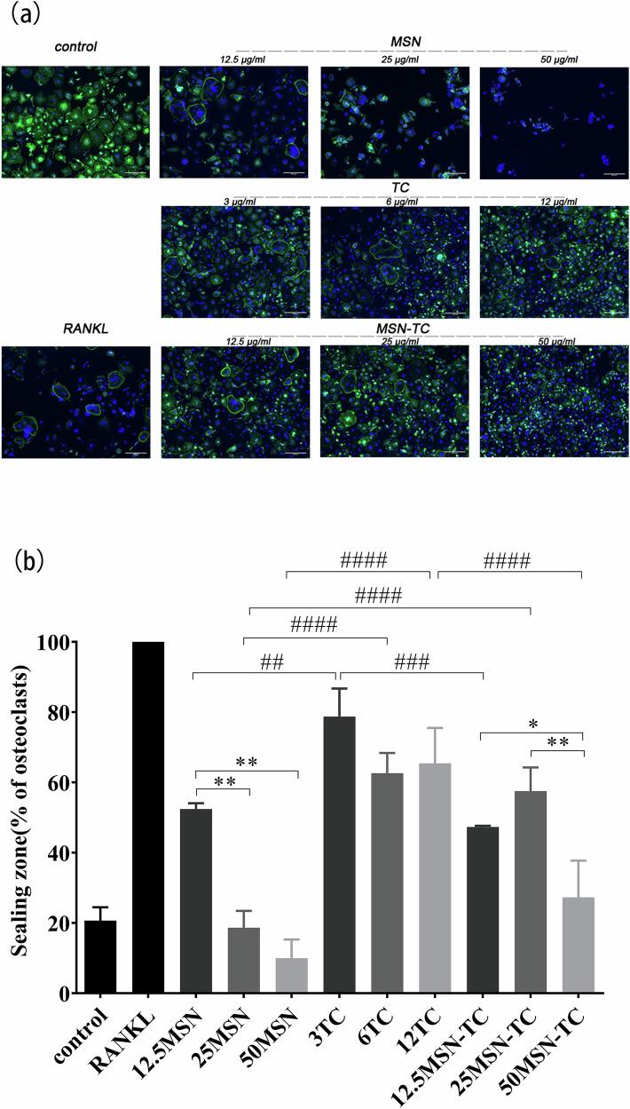 https://cdn.ncbi.nlm.nih.gov/pmc/blobs/46df/11442573/5186ede7df3c/10856_2024_6827_Fig4_HTML.jpg