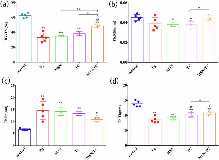 https://cdn.ncbi.nlm.nih.gov/pmc/blobs/46df/11442573/6645b56299fc/10856_2024_6827_Fig5_HTML.jpg