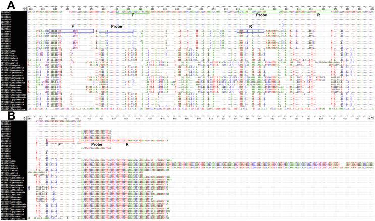 https://cdn.ncbi.nlm.nih.gov/pmc/blobs/46df/12187069/0eef67ec5bdb/parasite-32-37-fig1.jpg
