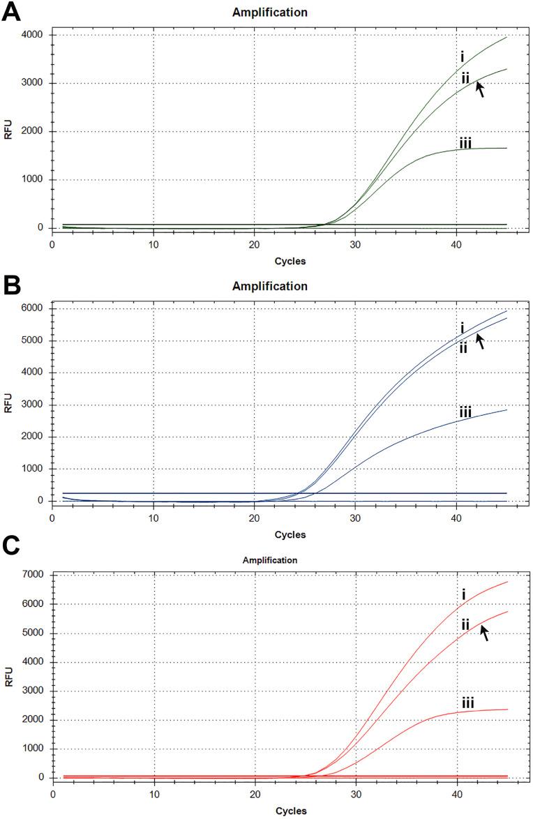 https://cdn.ncbi.nlm.nih.gov/pmc/blobs/46df/12187069/160a81c260ca/parasite-32-37-fig4.jpg