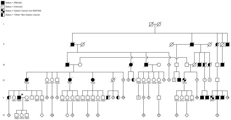 https://cdn.ncbi.nlm.nih.gov/pmc/blobs/46e0/4207611/48f8b90ca91a/pgen.1004669.g001.jpg