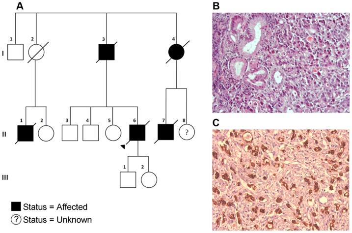 https://cdn.ncbi.nlm.nih.gov/pmc/blobs/46e0/4207611/c94adeabc6de/pgen.1004669.g003.jpg