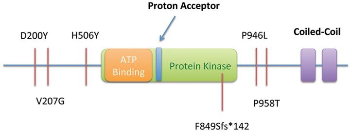 https://cdn.ncbi.nlm.nih.gov/pmc/blobs/46e0/4207611/f9b9a6a25741/pgen.1004669.g004.jpg