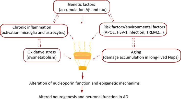 https://cdn.ncbi.nlm.nih.gov/pmc/blobs/46e1/9290943/14387ad528b5/STEM-39-1601-g004.jpg