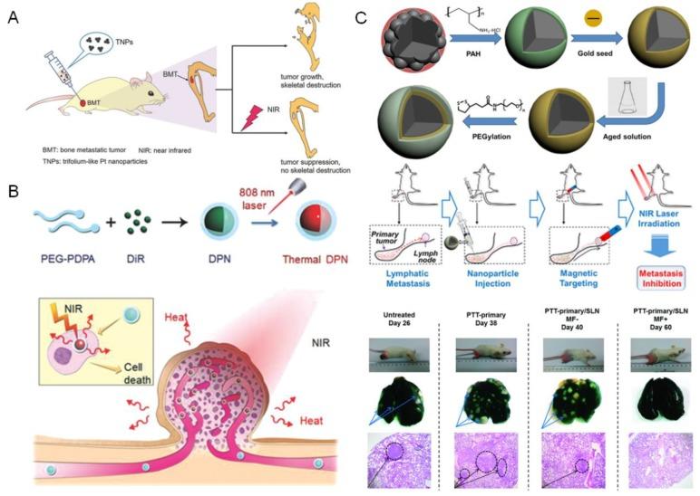 https://cdn.ncbi.nlm.nih.gov/pmc/blobs/46e2/4860886/e9f98ea8e09e/thnov06p0762g002.jpg