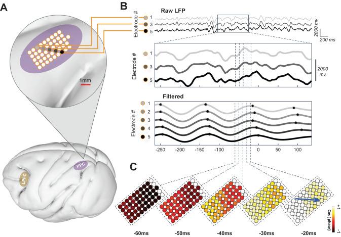 https://cdn.ncbi.nlm.nih.gov/pmc/blobs/46e6/10480436/201c8251e683/41467_2023_41125_Fig2_HTML.jpg