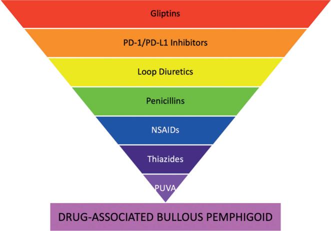 https://cdn.ncbi.nlm.nih.gov/pmc/blobs/46e6/9207627/3297653b0fba/ActaDV-100-15-5716-g002.jpg