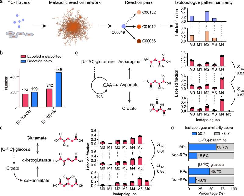 https://cdn.ncbi.nlm.nih.gov/pmc/blobs/46e7/12126588/4d5bf6d1b752/41467_2025_60258_Fig1_HTML.jpg