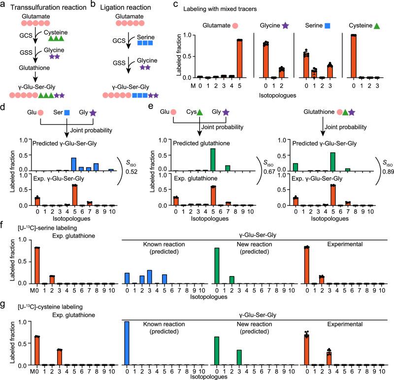 https://cdn.ncbi.nlm.nih.gov/pmc/blobs/46e7/12126588/9557b24c0eb1/41467_2025_60258_Fig4_HTML.jpg
