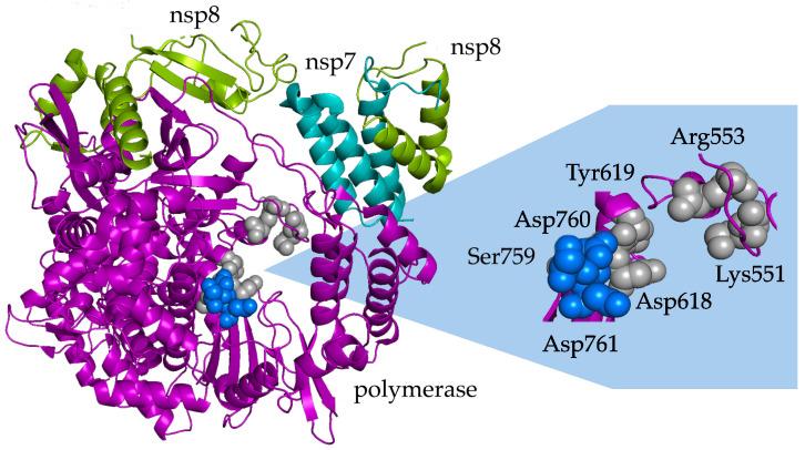 https://cdn.ncbi.nlm.nih.gov/pmc/blobs/46eb/10747147/1acfd7401444/viruses-15-02316-g002.jpg