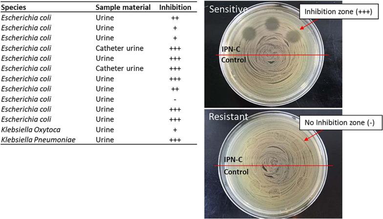 https://cdn.ncbi.nlm.nih.gov/pmc/blobs/46eb/8267894/3da7927e0413/fmicb-12-685698-g005.jpg
