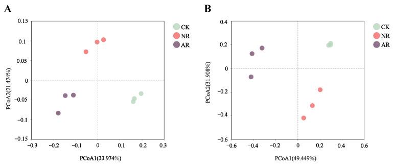 https://cdn.ncbi.nlm.nih.gov/pmc/blobs/46ec/12195559/469f007cad81/microorganisms-13-01339-g001.jpg