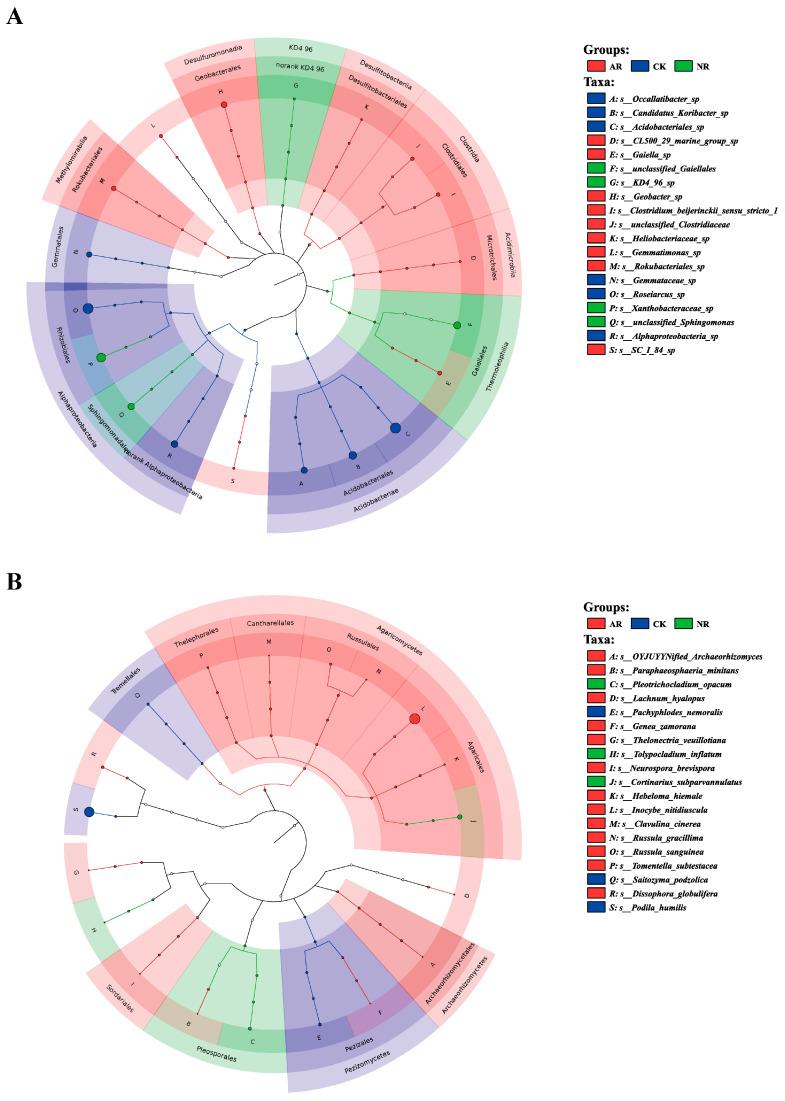 https://cdn.ncbi.nlm.nih.gov/pmc/blobs/46ec/12195559/59c202430f01/microorganisms-13-01339-g004.jpg