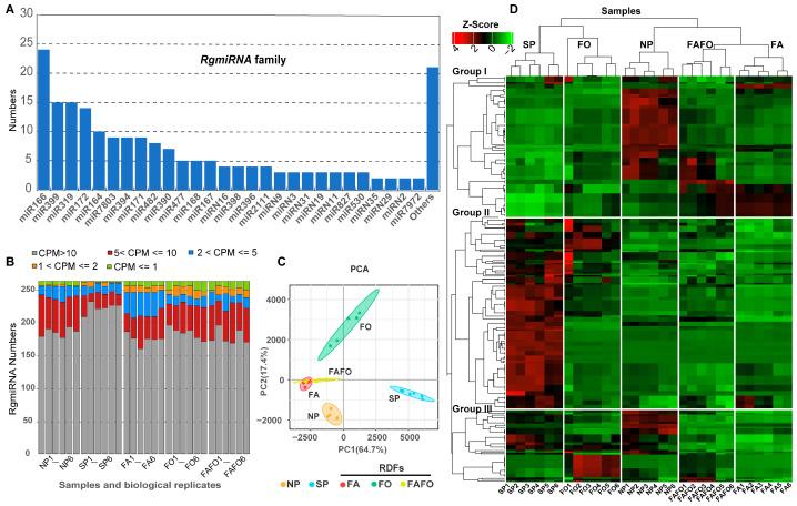 https://cdn.ncbi.nlm.nih.gov/pmc/blobs/46ef/11431045/ab7b2e1e7793/genes-15-01239-g002.jpg
