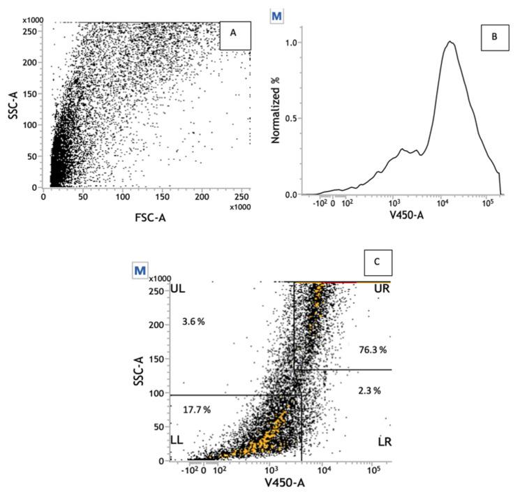 https://cdn.ncbi.nlm.nih.gov/pmc/blobs/46ef/8152733/9534b8003085/pharmaceutics-13-00712-g004.jpg