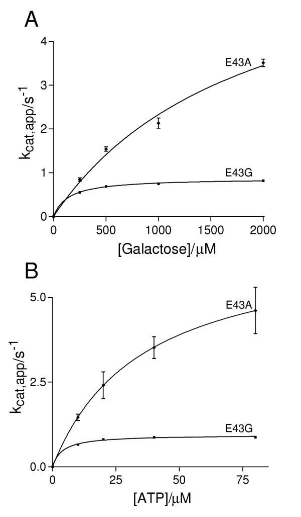 https://cdn.ncbi.nlm.nih.gov/pmc/blobs/46f0/280648/289a583e6ceb/1471-2091-4-16-4.jpg