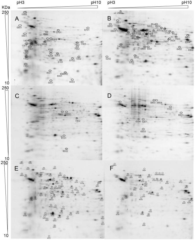https://cdn.ncbi.nlm.nih.gov/pmc/blobs/46f0/4263474/49181331540c/pone.0113837.g002.jpg