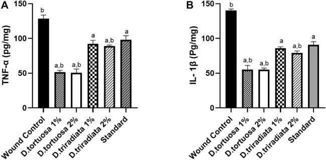 https://cdn.ncbi.nlm.nih.gov/pmc/blobs/46f1/9360601/6d9e90413cac/fphar-13-940988-g007.jpg