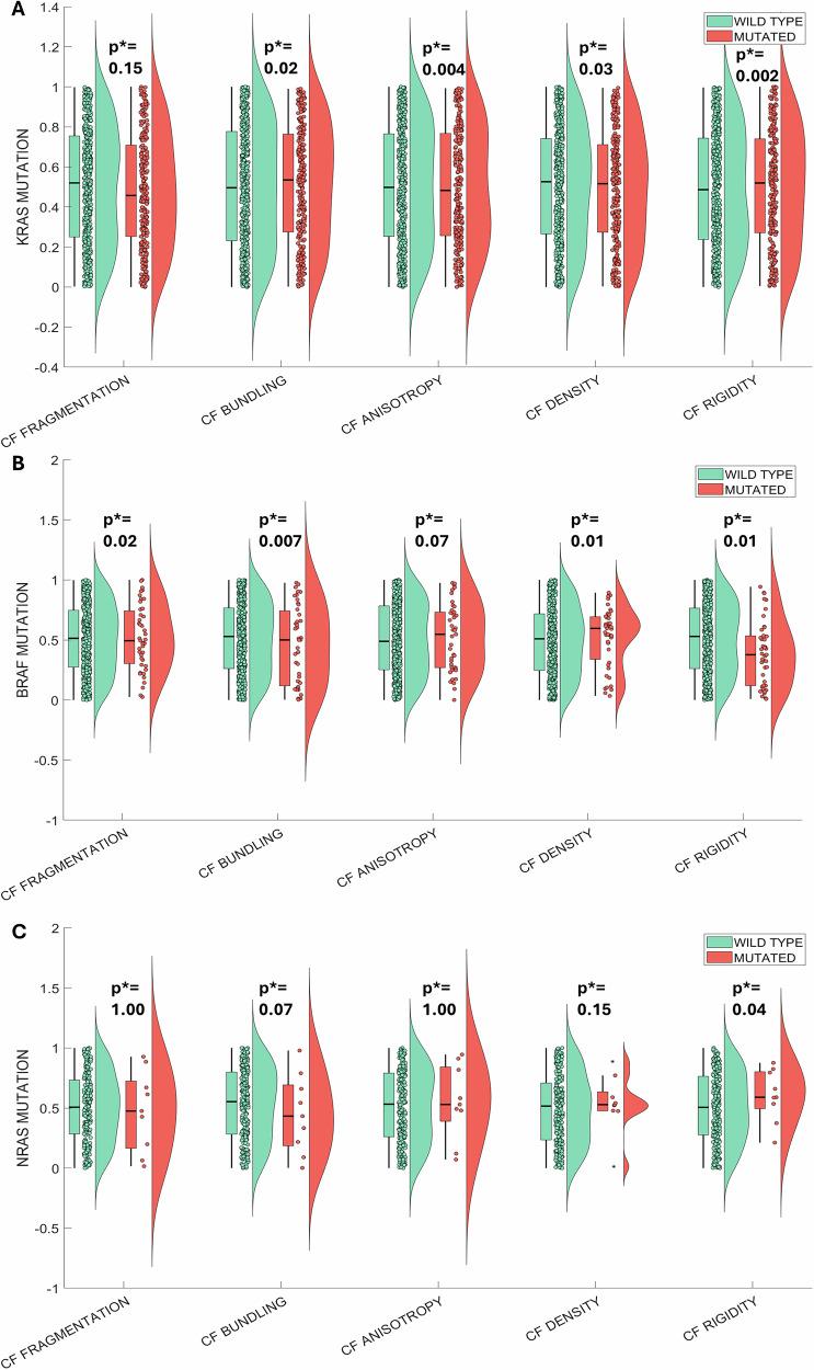 https://cdn.ncbi.nlm.nih.gov/pmc/blobs/46f3/12394695/6aaee030eaf8/41698_2025_1098_Fig4_HTML.jpg