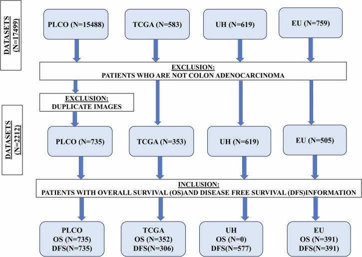 https://cdn.ncbi.nlm.nih.gov/pmc/blobs/46f3/12394695/6ee8fac18636/41698_2025_1098_Fig11_HTML.jpg