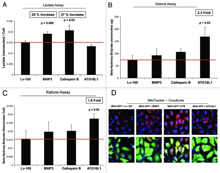https://cdn.ncbi.nlm.nih.gov/pmc/blobs/46f3/3383590/36e29c053669/cc-11-2285-g9.jpg