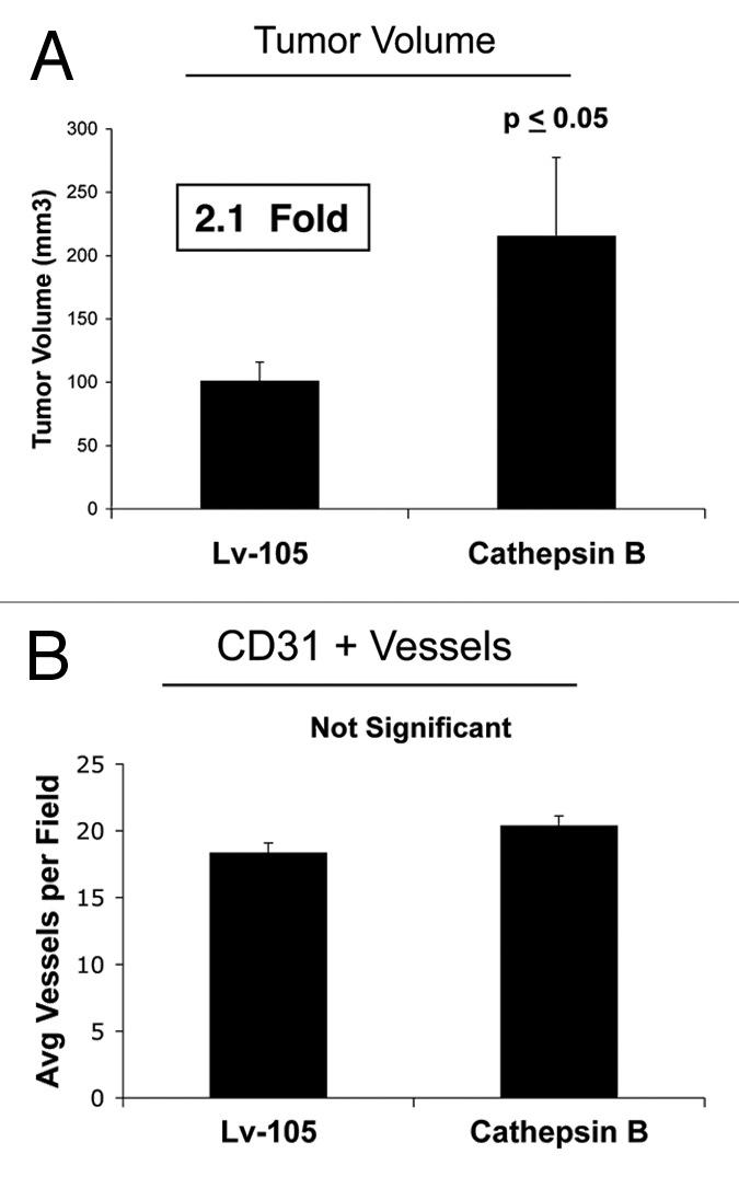 https://cdn.ncbi.nlm.nih.gov/pmc/blobs/46f3/3383590/ab59d7edd322/cc-11-2285-g5.jpg
