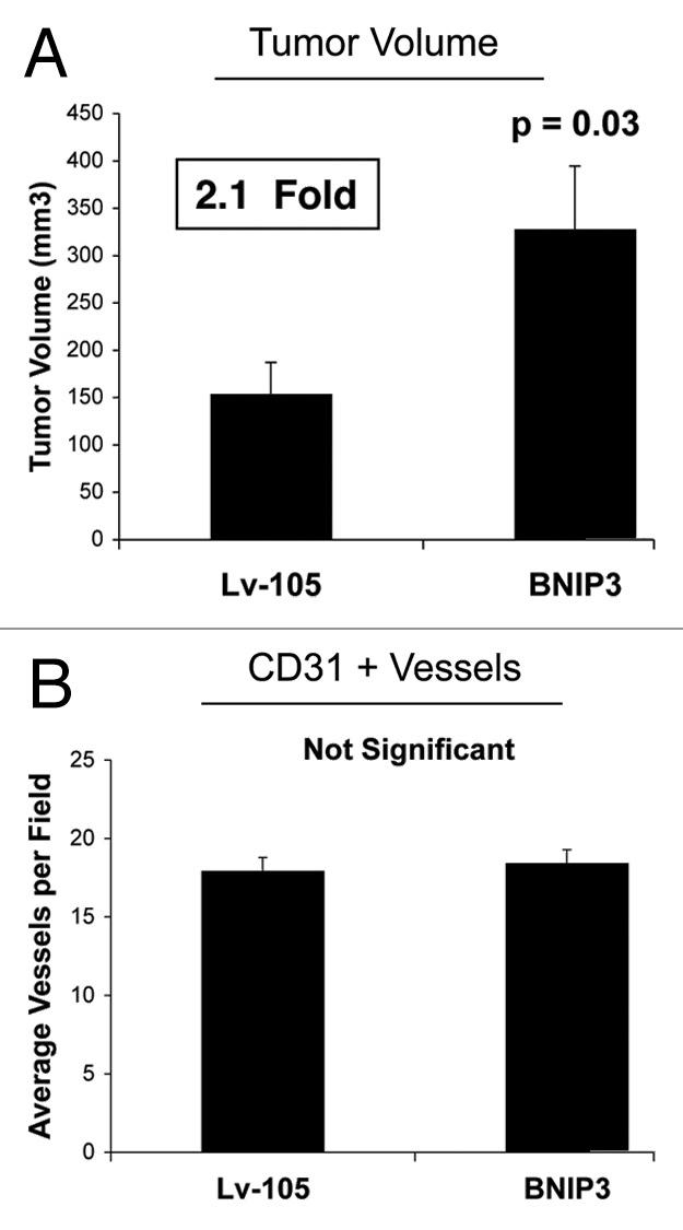 https://cdn.ncbi.nlm.nih.gov/pmc/blobs/46f3/3383590/b27ecc6c4007/cc-11-2285-g2.jpg