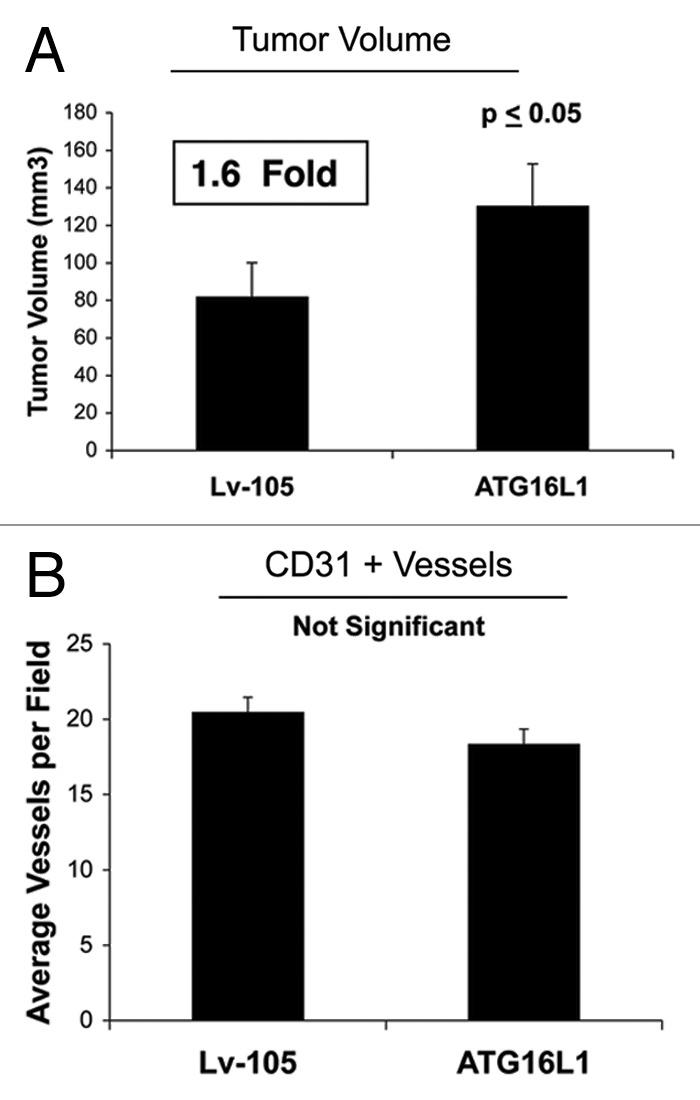 https://cdn.ncbi.nlm.nih.gov/pmc/blobs/46f3/3383590/b32a0ee1ed58/cc-11-2285-g7.jpg