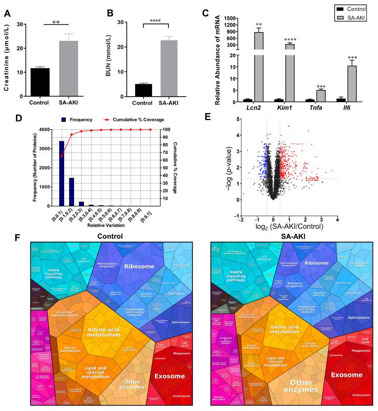 https://cdn.ncbi.nlm.nih.gov/pmc/blobs/46f4/10526551/5738670d58d0/biomolecules-13-01329-g001.jpg